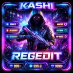 Kashi Regedit Panel APK