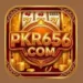 PKR656 Game